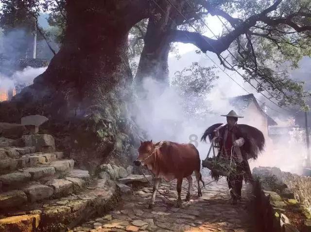 系带夏装