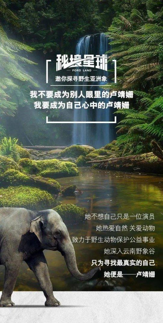 寻找火鸡