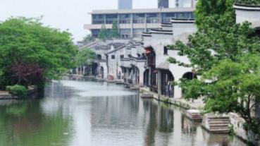 拯救精灵的土地8