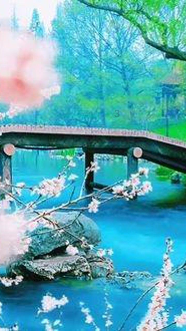 渝北回兴街道：巧手剪纸迎新春 文化传承话清廉